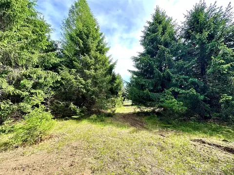 5 Acres 630th St, Colfax, WI 54730