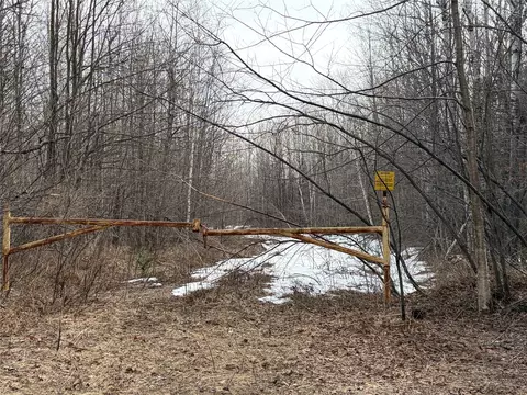 On County Highway B, Winter, WI 54896 photo 4