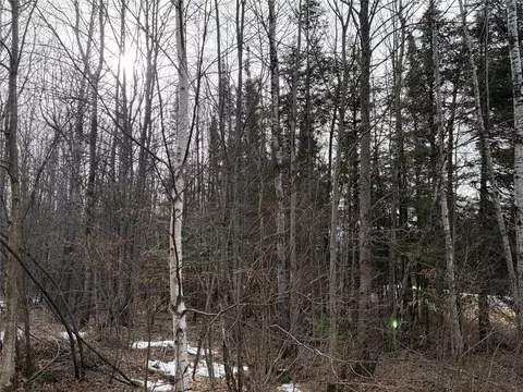 On County Highway B, Winter, WI 54896 photo 5