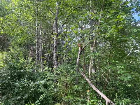 On Delap Lane, Couderay, WI 54828