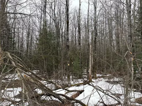 On N Hofer Road, Couderay, WI 54828