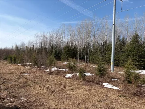 On Cth F, Park Falls, WI 54552