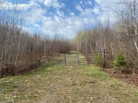 On Wilson Lake Road, Phillips, WI 54555