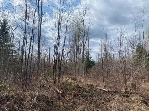 Near Wilson Lake Road, Phillips, WI 54555