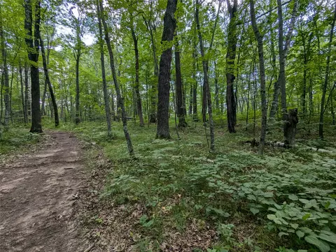 lot2 Fosmo Dr, Webster, WI 54893 photo 4