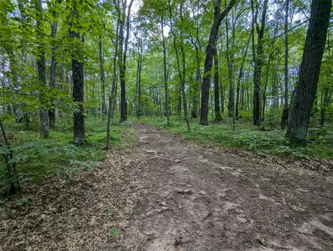 lot2 Fosmo Dr, Webster, WI 54893 photo 3