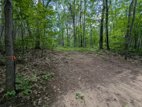 lot3 Fosmo Dr, Webster, WI 54893 photo 2