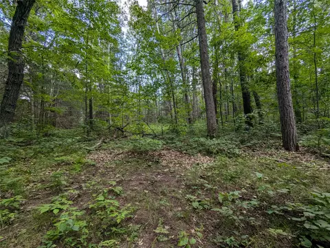lot3 Fosmo Dr, Webster, WI 54893 photo 3