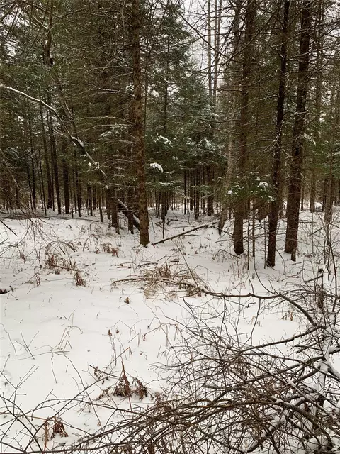 79879 Hinz Rd, Glidden, WI 54527 photo 31