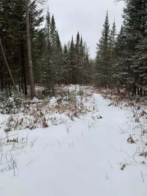 79879 Hinz Rd, Glidden, WI 54527 photo 35