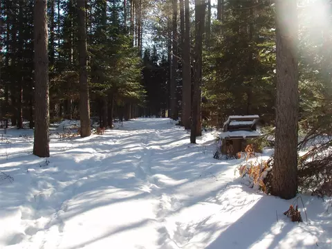 79879 Hinz Rd, Glidden, WI 54527 photo 22