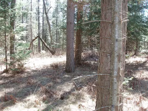 79879 Hinz Rd, Glidden, WI 54527 photo 8