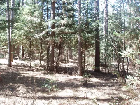 79879 Hinz Rd, Glidden, WI 54527 photo 20