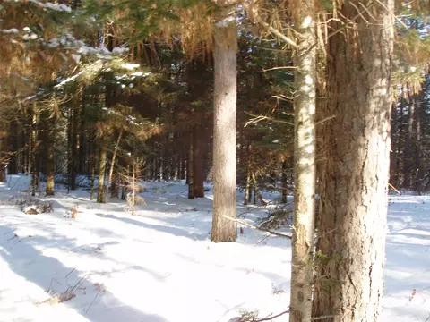 79879 Hinz Rd, Glidden, WI 54527 photo 21