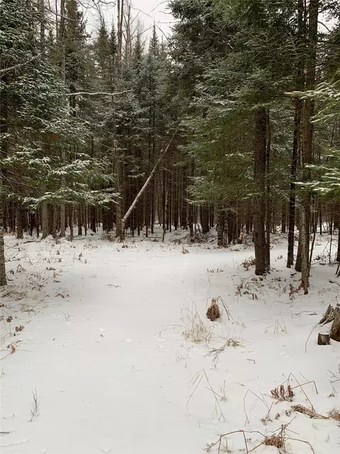 79879 Hinz Rd, Glidden, WI 54527 photo 34