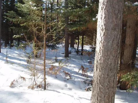 79879 Hinz Rd, Glidden, WI 54527 photo 23