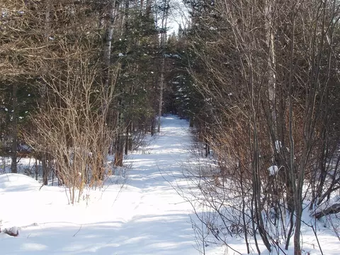 79879 Hinz Rd, Glidden, WI 54527 photo 25