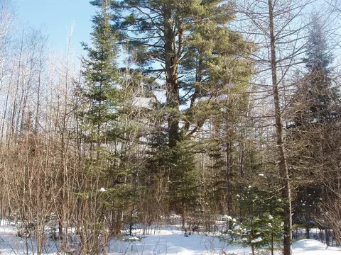 79879 Hinz Rd, Glidden, WI 54527 photo 26