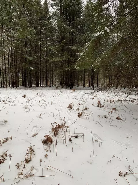 79879 Hinz Rd, Glidden, WI 54527 photo 32