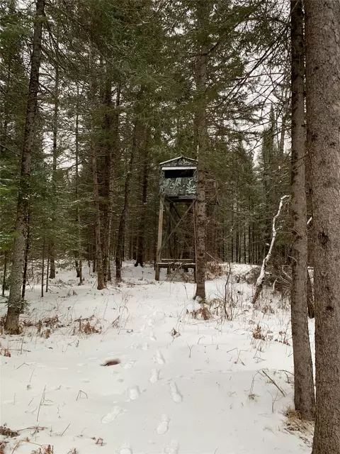 79879 Hinz Rd, Glidden, WI 54527 photo 33