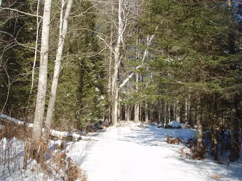 79879 Hinz Rd, Glidden, WI 54527 photo 24