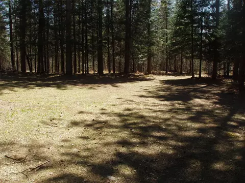 79879 Hinz Rd, Glidden, WI 54527 photo 5
