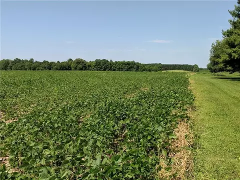 40 Acres County Rd B W, Glen Flora, WI 52526