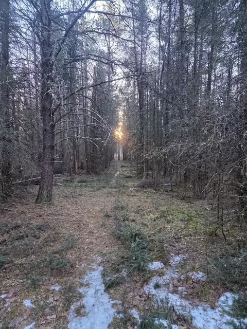 0000 Main Rd, Springbrook, WI 54875 photo 8