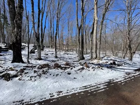 lot S 54 55 Wolf Island Rd, Hayward, WI 54843
