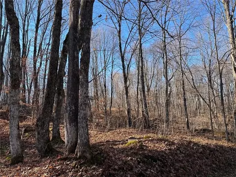 lot S 54 55 Wolf Island Rd, Hayward, WI 54843