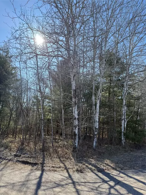 1 06 Acre On 297th Ave, Holcombe, WI 54745