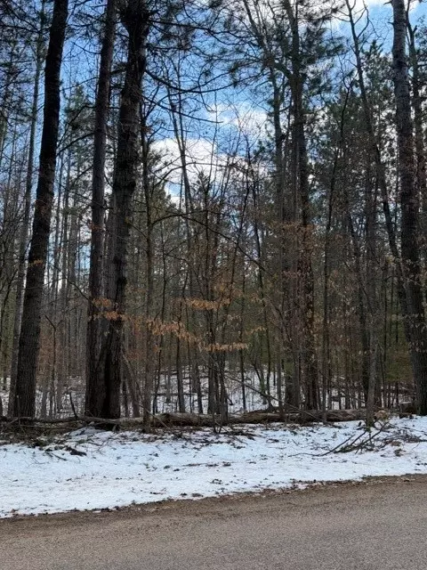 tbd E Long Lake Rd, Danbury, WI 54830