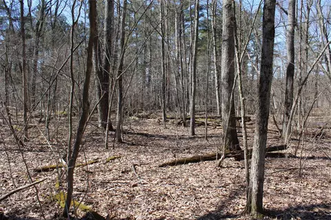 00 Resewood Ave #LOT 4, Neillsville, WI 54456