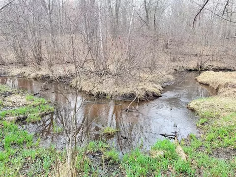 lot4 Big Lake Dr, Osceola, WI 54020