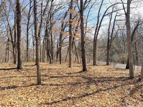 lot6 Big Lake Dr, Osceola, WI 54020
