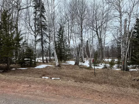 10427 E Devries Rd, Poplar, WI 54864
