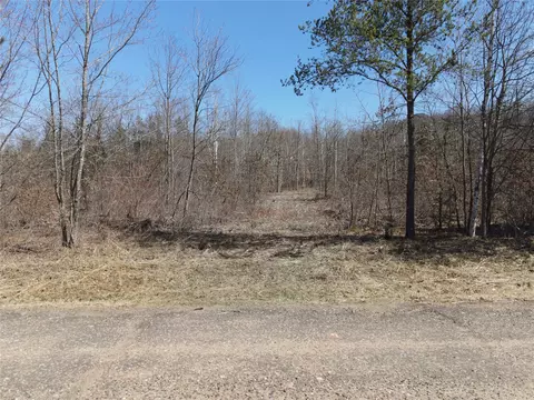 0 810th St, Ridgeland, WI 54763