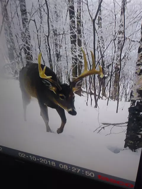 2339 150th 150th St, Luck, WI 54853