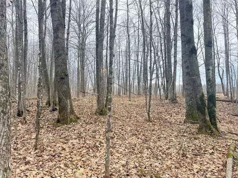 lot3 Hwy X, Glen Flora, WI 54526