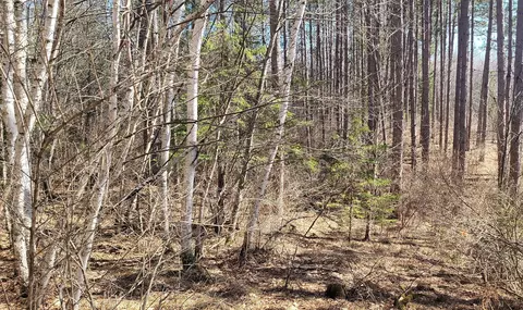 On Hunter Lake Road, Winter, WI 54896