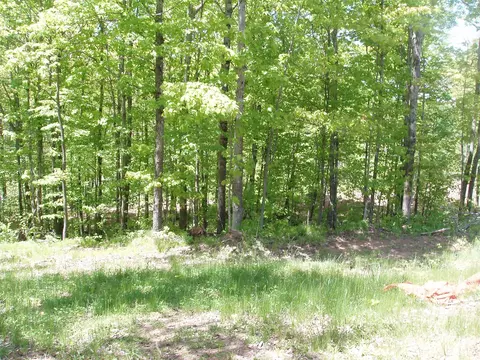 lot1 On Highway 169, Mellen, WI 54546 photo 2