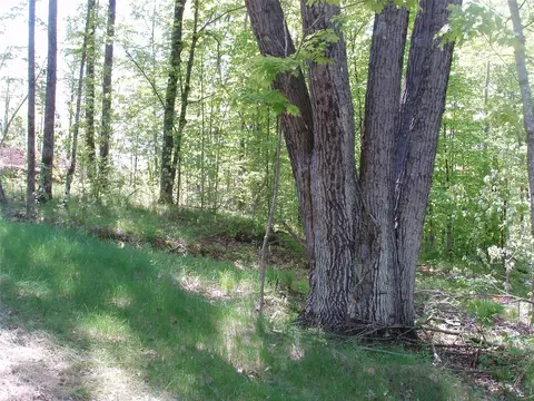 lot1 On Highway 169, Mellen, WI 54546 photo 3
