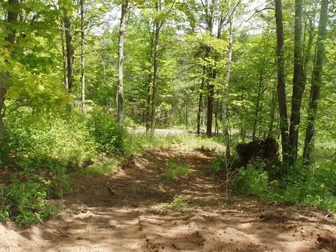 lot1 On Highway 169, Mellen, WI 54546 photo 6