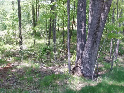 lot1 On Highway 169, Mellen, WI 54546 photo 11
