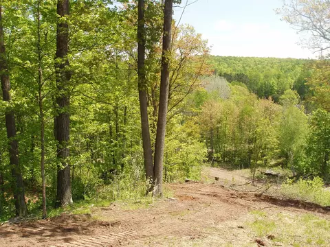 lot1 On Highway 169, Mellen, WI 54546 photo 4