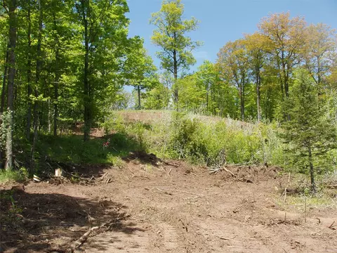 lot1 On Highway 169, Mellen, WI 54546 photo 7