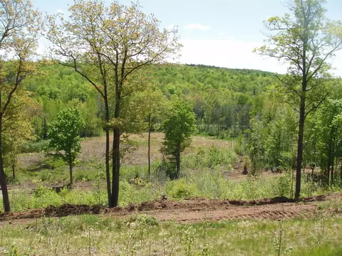 lot1 On Highway 169, Mellen, WI 54546