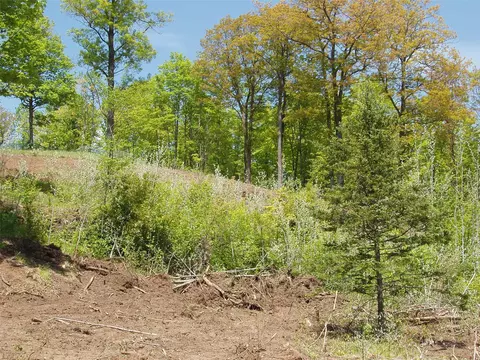 lot1 On Highway 169, Mellen, WI 54546 photo 13
