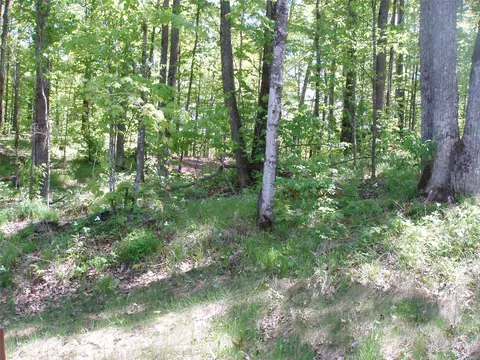 lot1 On Highway 169, Mellen, WI 54546 photo 9