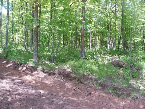 lot1 On Highway 169, Mellen, WI 54546 photo 14